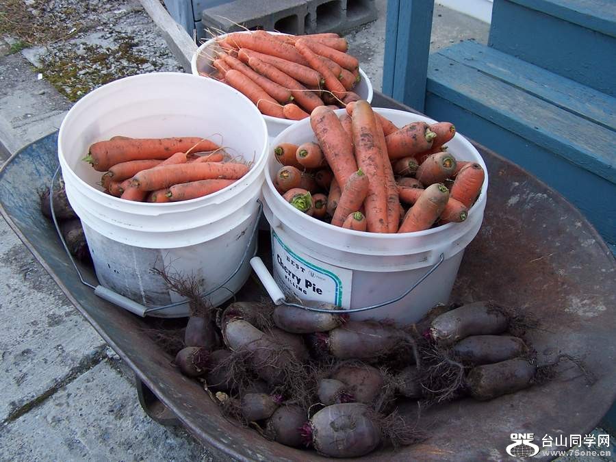2010 10645.jpg