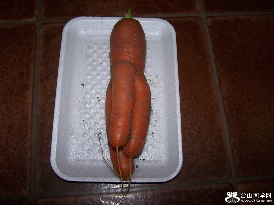 2010 10658.jpg
