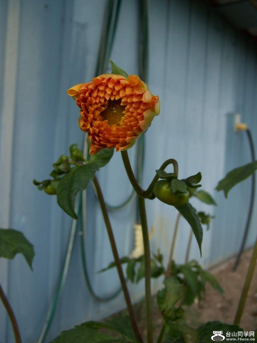 2010 10635.jpg