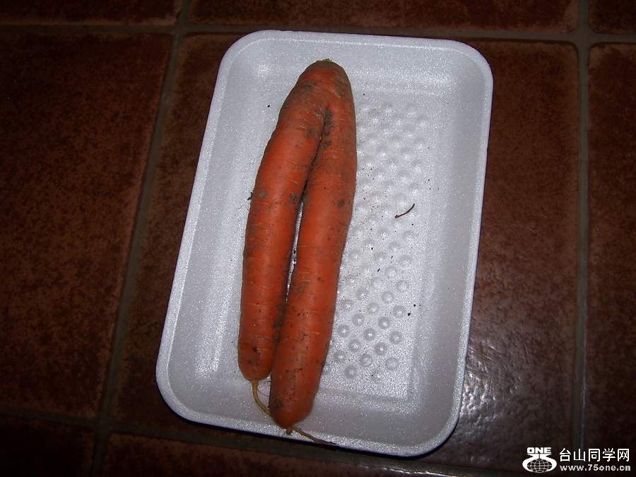 2010 10654.jpg