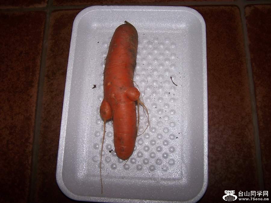 2010 10655.jpg