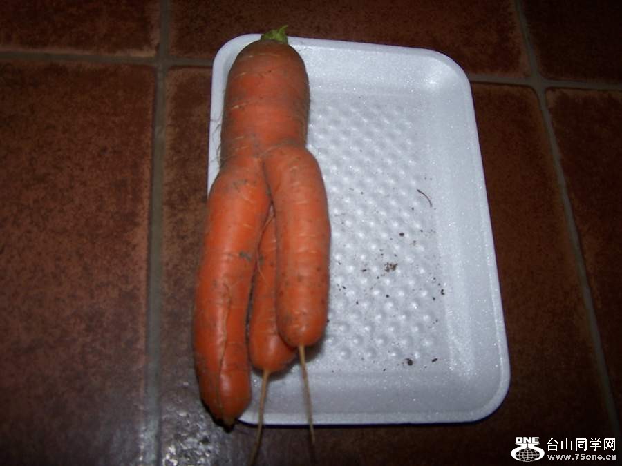 2010 10659.jpg