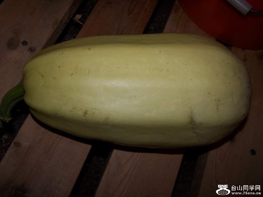2010 1045.jpg