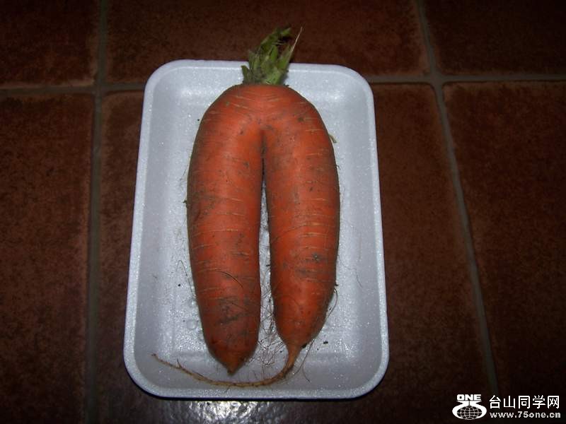 2010 10660.jpg