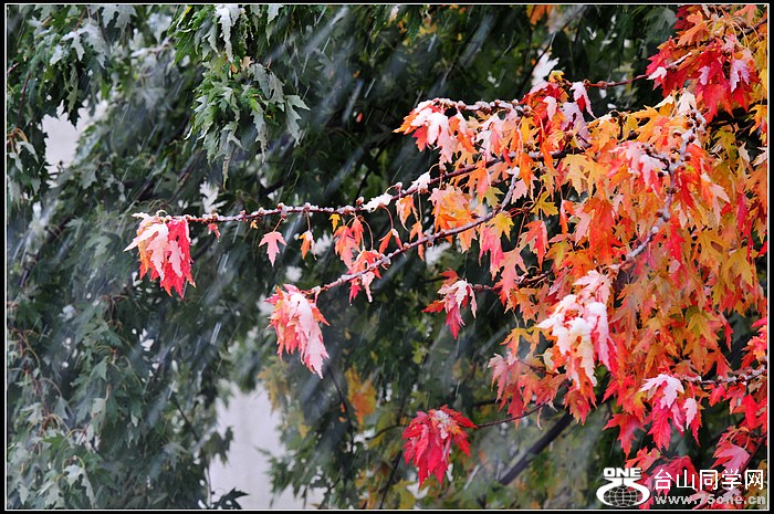 DSC_9326.JPG