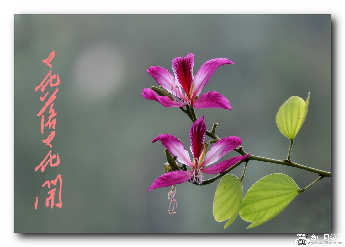 ��Ƭ 0971_conew1.jpg