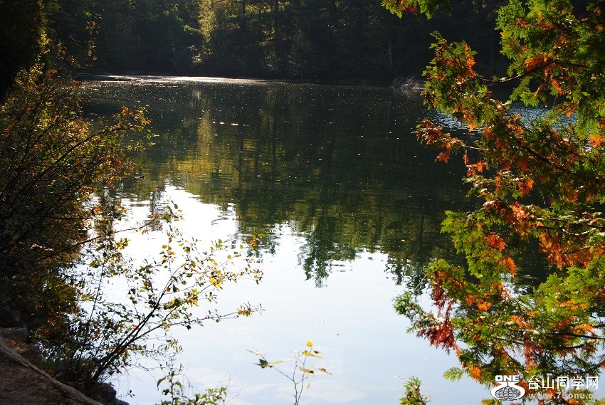 DSC_7584.JPG