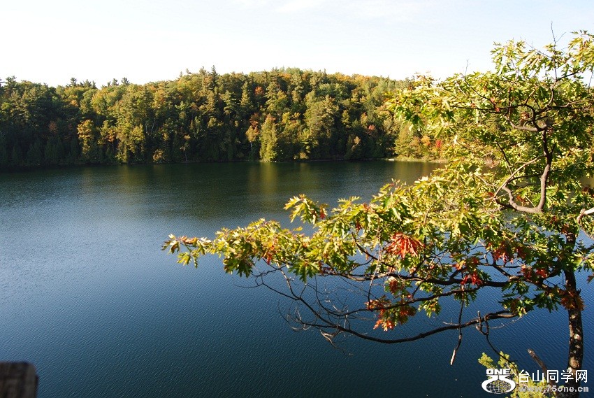 DSC_7538.JPG