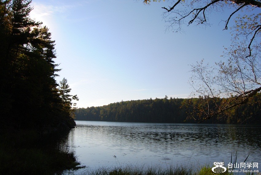 DSC_7528.JPG