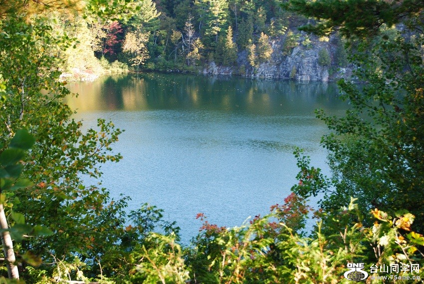 DSC_7503.JPG