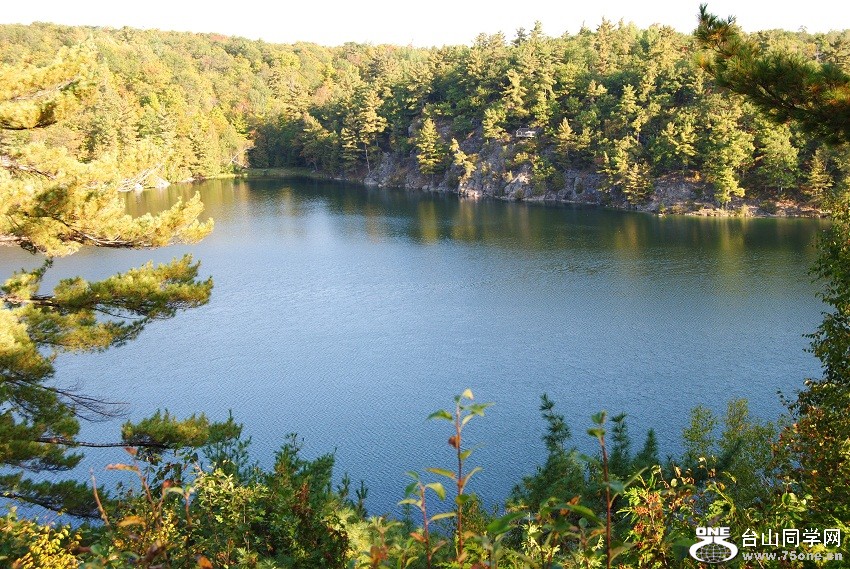 DSC_7507.JPG