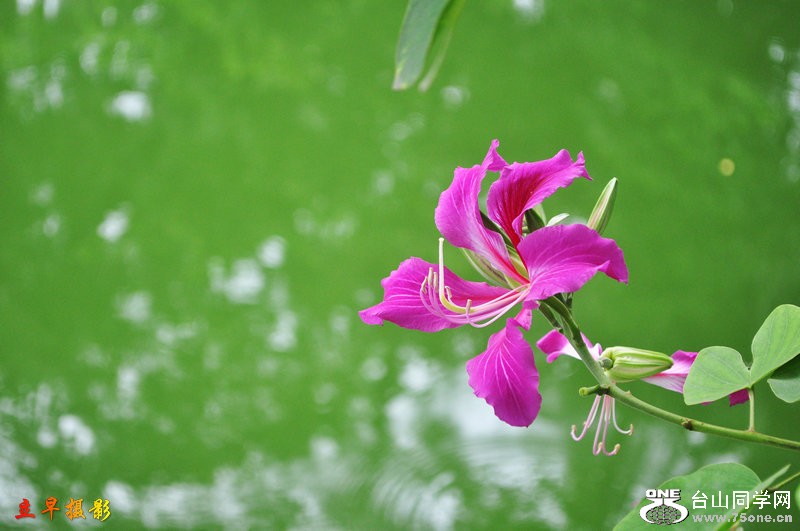 DSC_0180_.JPG