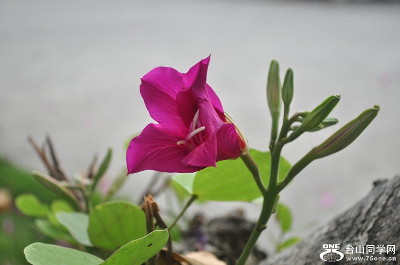 DSC_0157.JPG