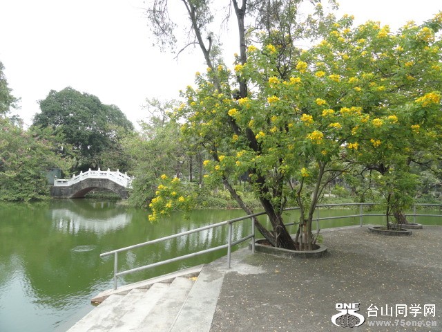 DSC02378.JPG