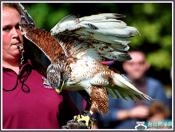 dsc_3347a.jpg