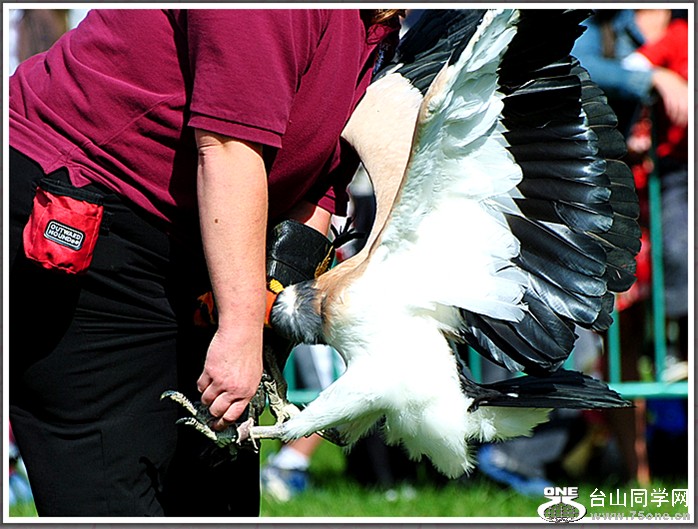 dsc_3114a.jpg