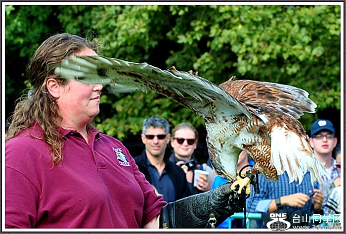 dsc_3318a.jpg