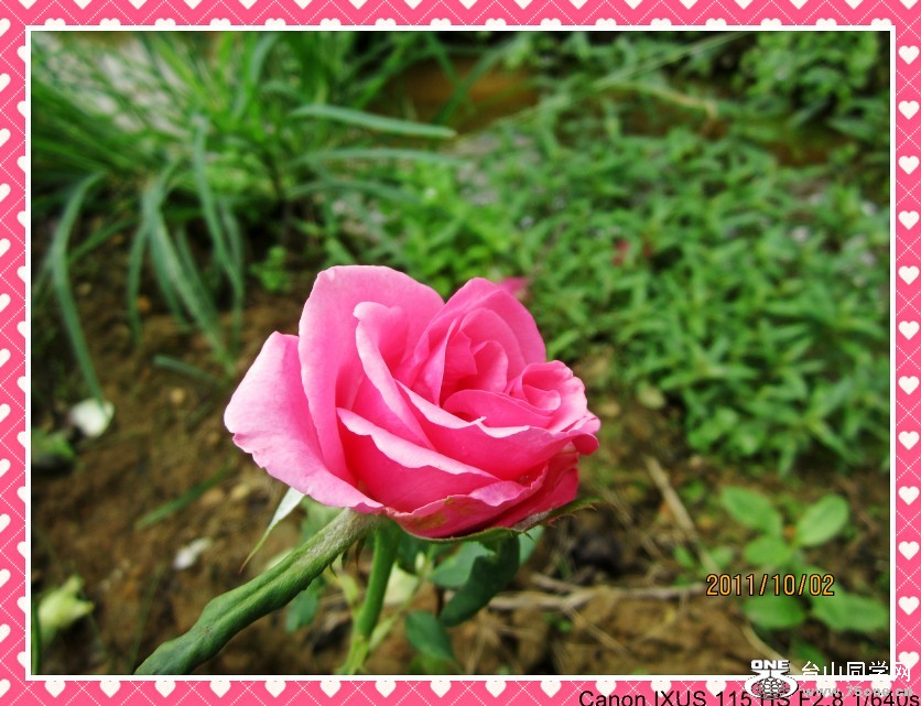 õ塢㺣 070_conew1.jpg