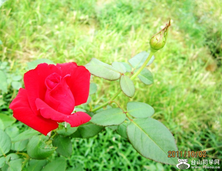 õ�塢�㺣 076_conew1.jpg