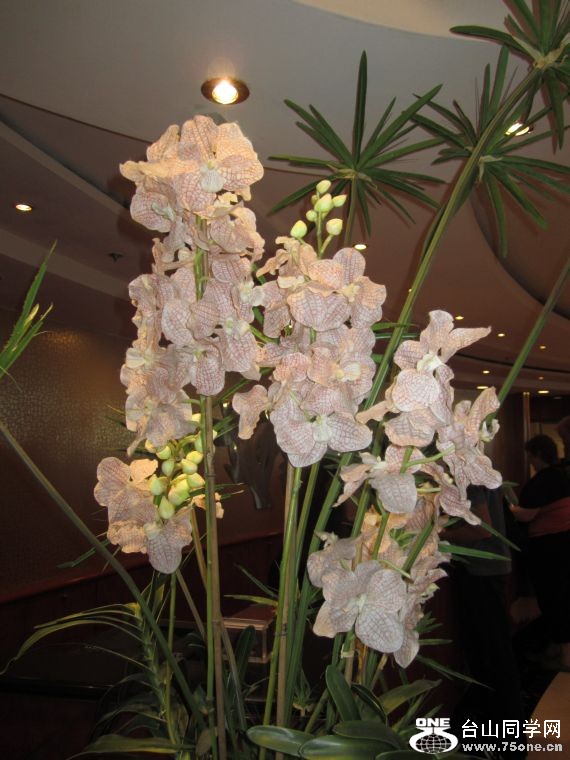 cruise,vancouva,seattle&nbsp;&nbsp;2011-7-30 173.jpg