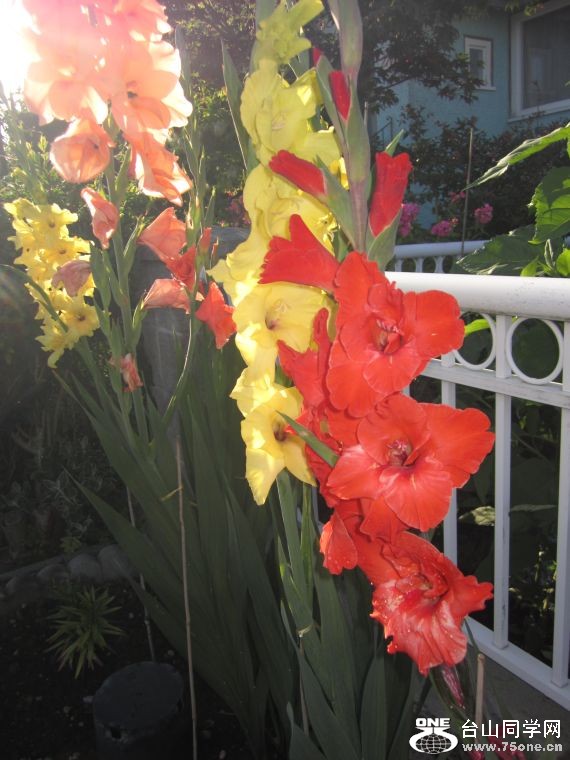 cruise,vancouva,seattle&nbsp;&nbsp;2011-7-30 1207.jpg