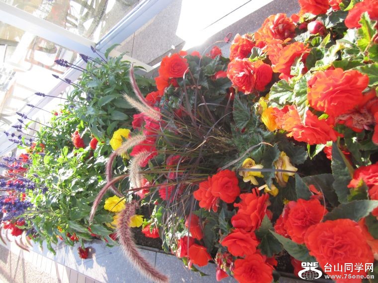 cruise,vancouva,seattle&nbsp;&nbsp;2011-7-30 1001.jpg