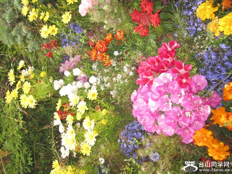 cruise,vancouva,seattle&nbsp;&nbsp;2011-7-30 616.jpg