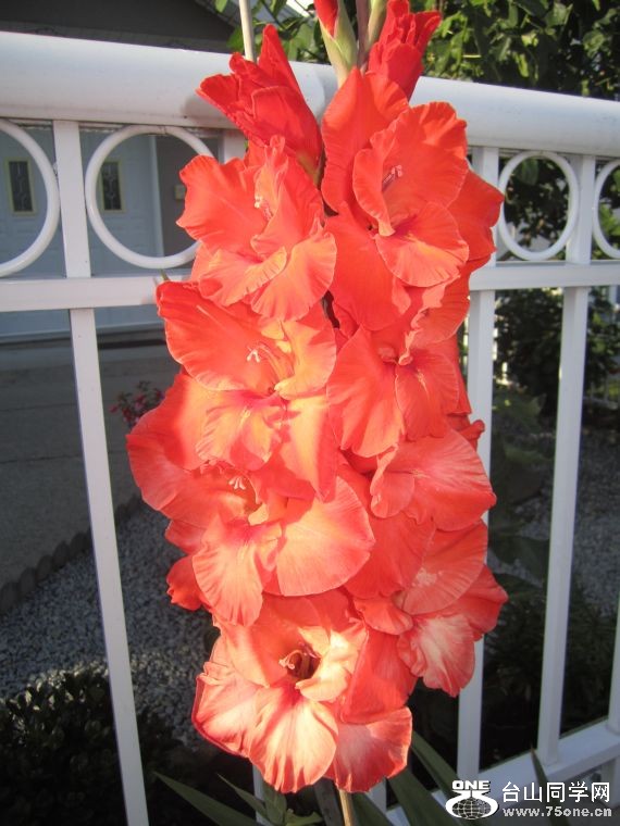 cruise,vancouva,seattle&nbsp;&nbsp;2011-7-30 1205.jpg