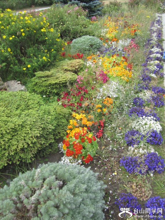 cruise,vancouva,seattle&nbsp;&nbsp;2011-7-30 623.jpg