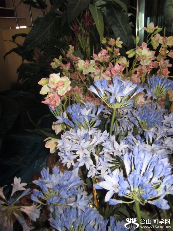 cruise,vancouva,seattle&nbsp;&nbsp;2011-7-30 179.jpg