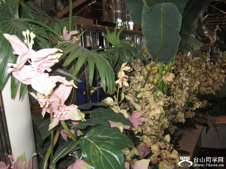 cruise,vancouva,seattle&nbsp;&nbsp;2011-7-30 175.jpg