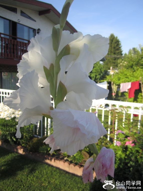 cruise,vancouva,seattle&nbsp;&nbsp;2011-7-30 1211.jpg