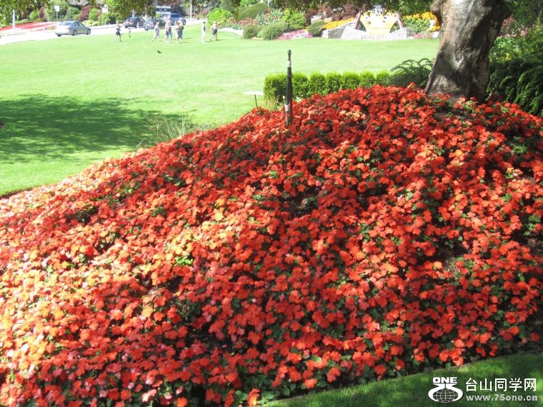 cruise,vancouva,seattle&nbsp;&nbsp;2011-7-30 1158.jpg