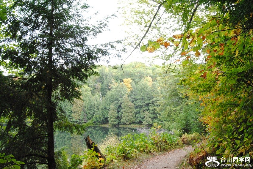 DSC_7777.JPG
