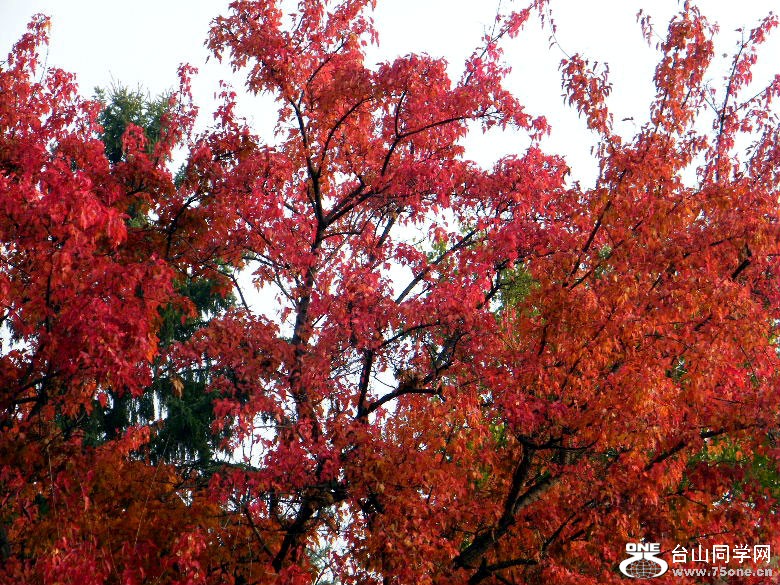DSCF8801=.jpg