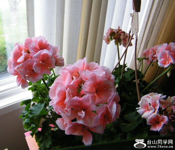 DSCF5597=0.jpg