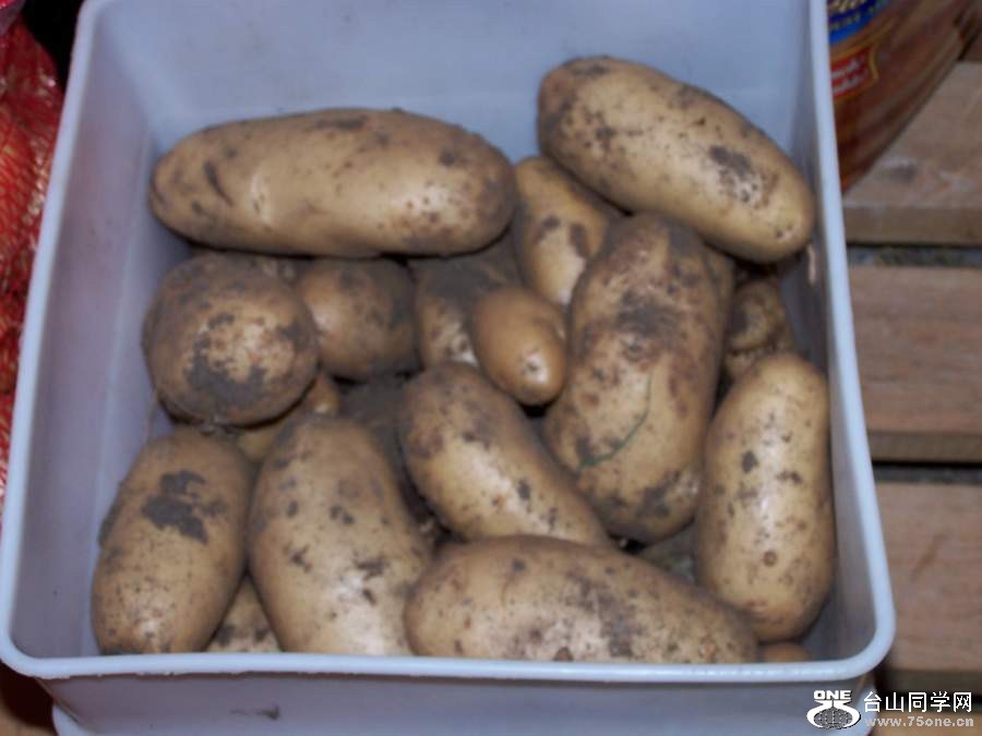 2010 1043.jpg