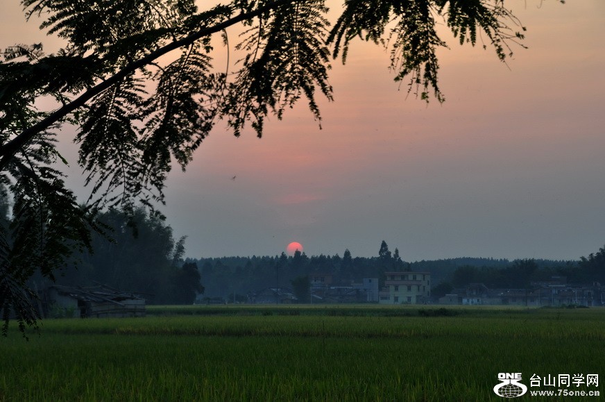 DSC_0062.jpg