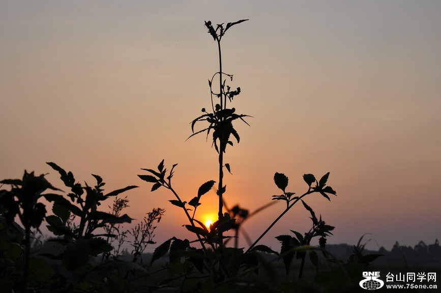 DSC_0043.jpg