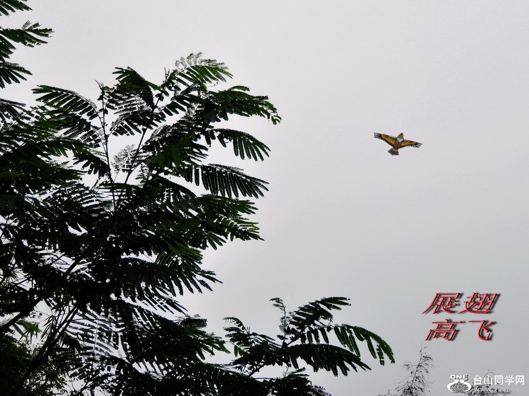 DSC_0164.jpg