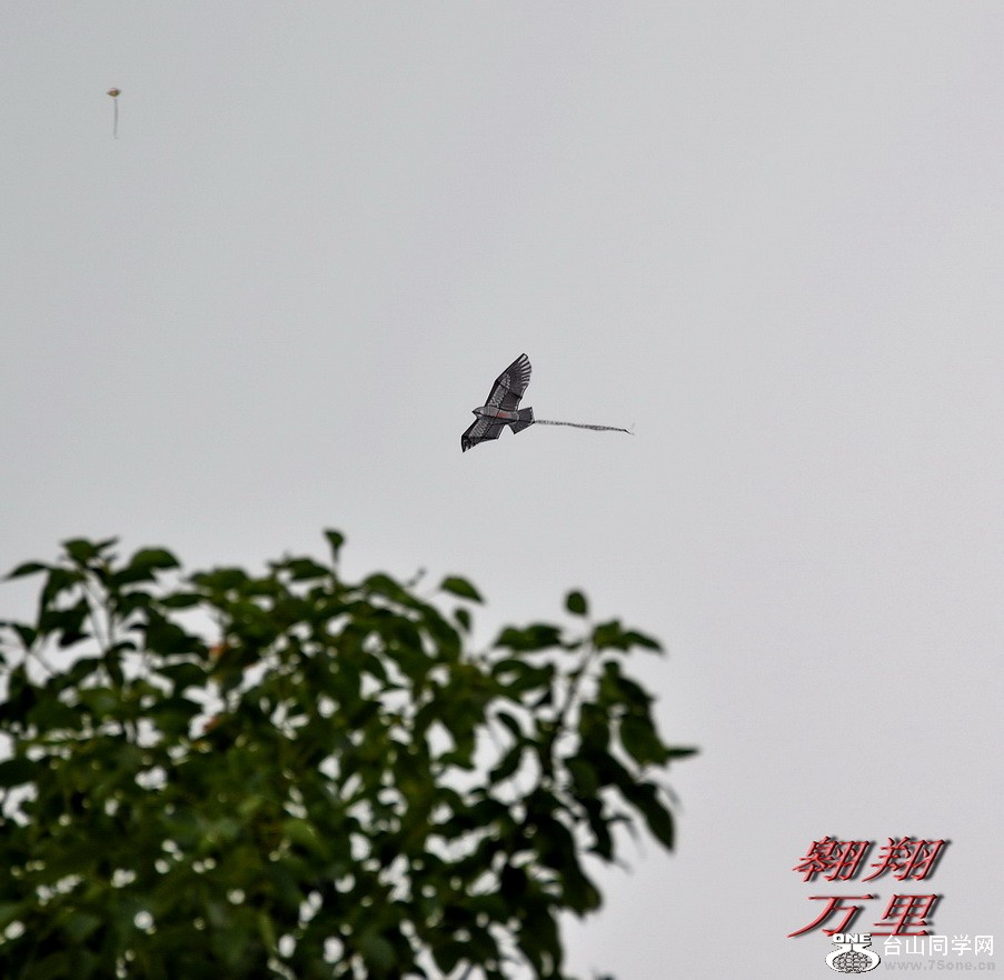 DSC_0172.jpg