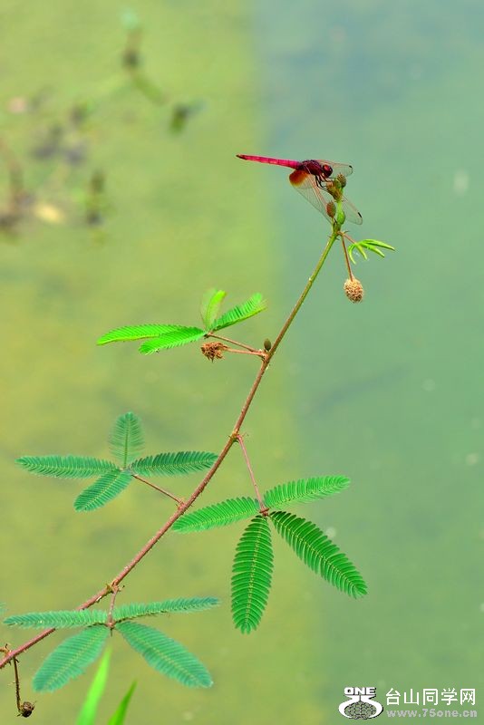 DSC_0182.JPG