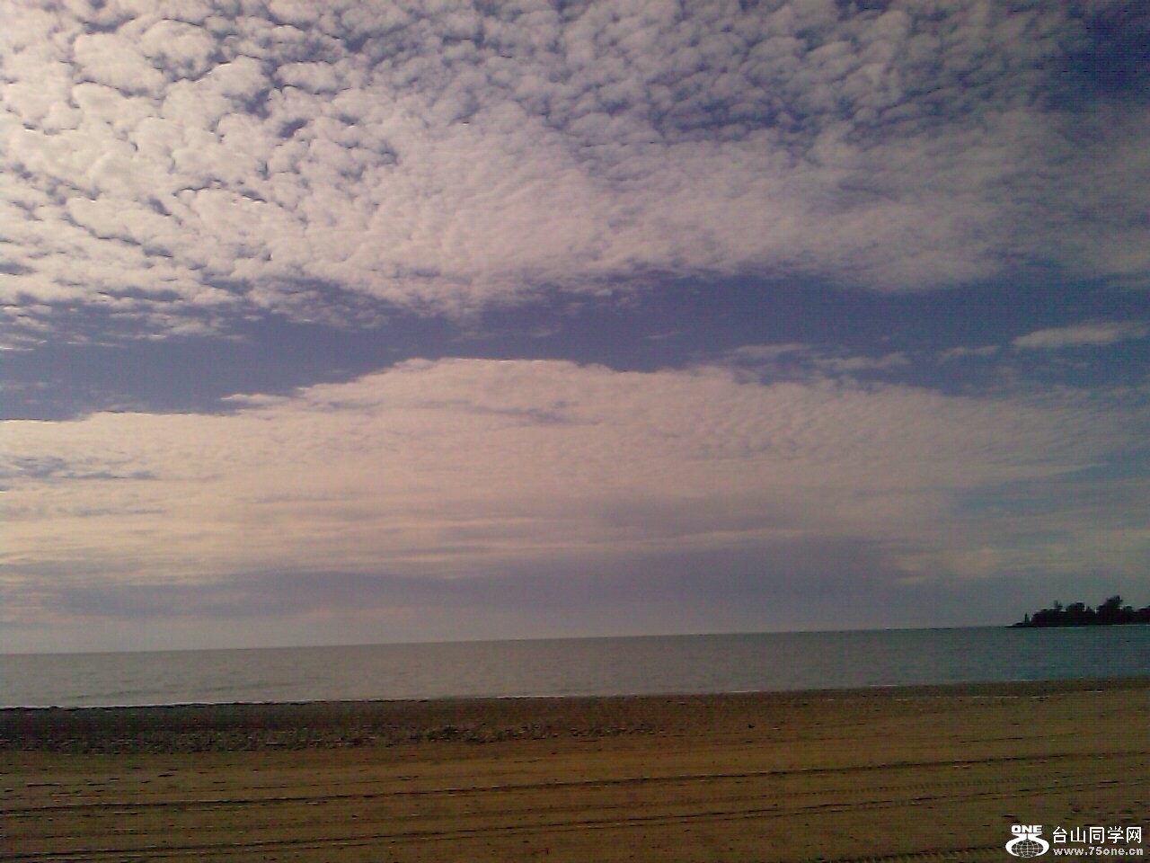 IMAG0461.jpg