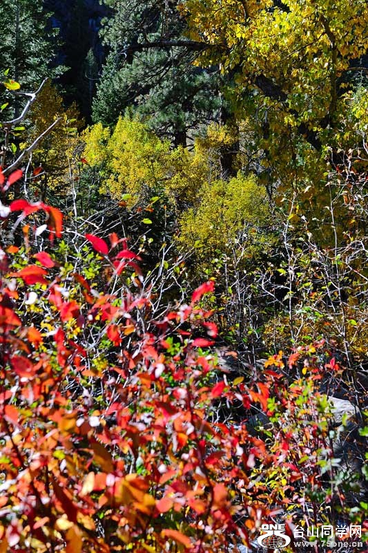 LakeTahoe1026201111579.jpg
