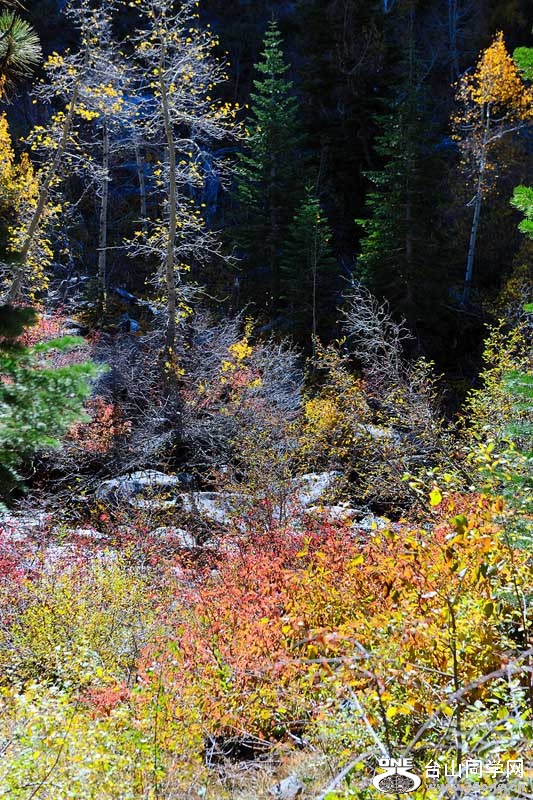 LakeTahoe1026201111489.jpg