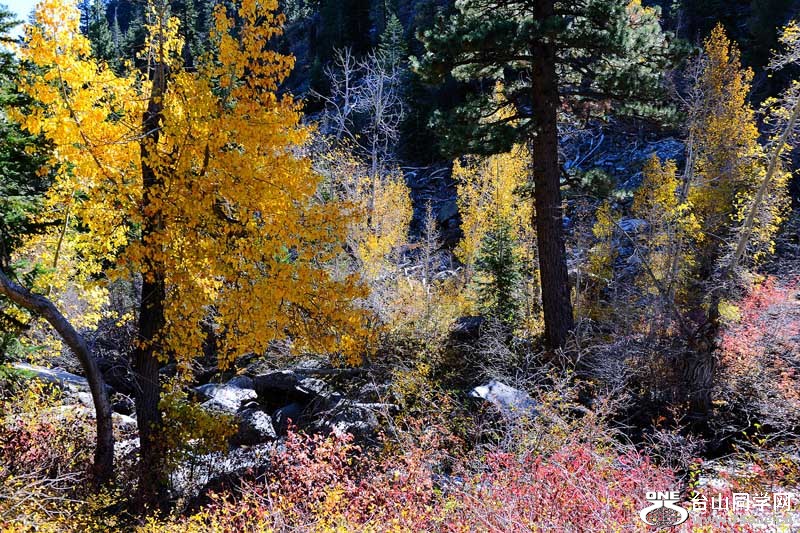 LakeTahoe1026201111480.jpg