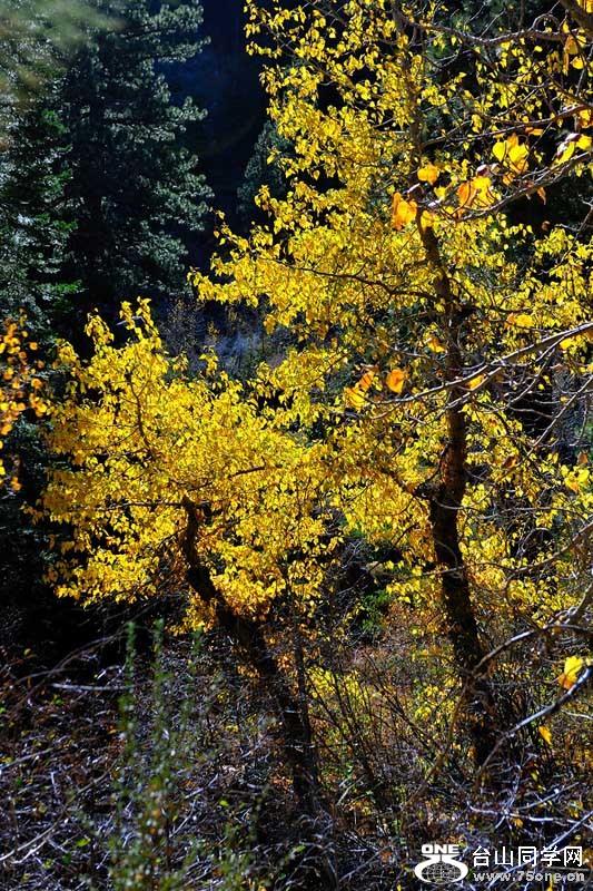 LakeTahoe1026201111588.jpg