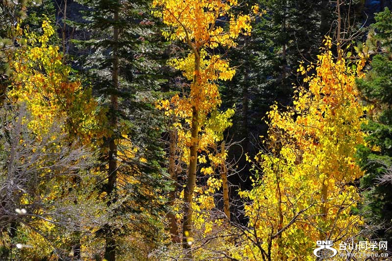 LakeTahoe1026201111474.jpg