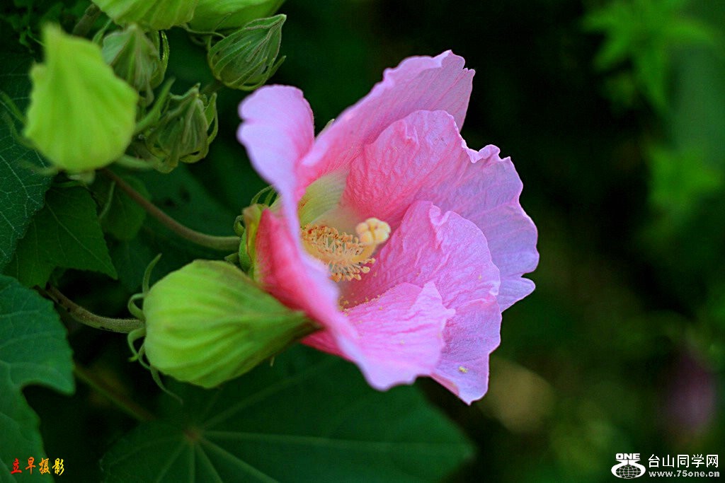 IMG_4486.JPG