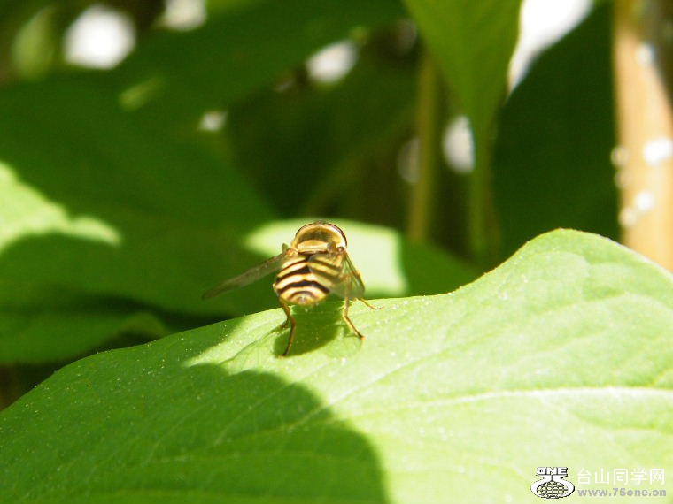 DSCF9273.JPG